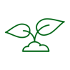Seedling plant icon