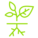 Visible-Results-Icon-200