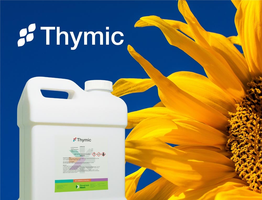 Thymic logo on a blue background with a Thymic product jug and large yellow sunflower.